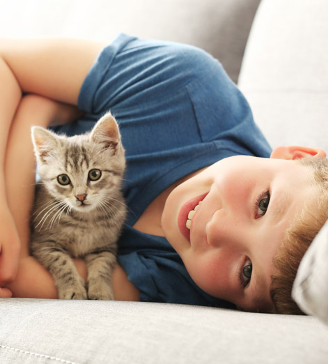 Happy Child With a Kitten
